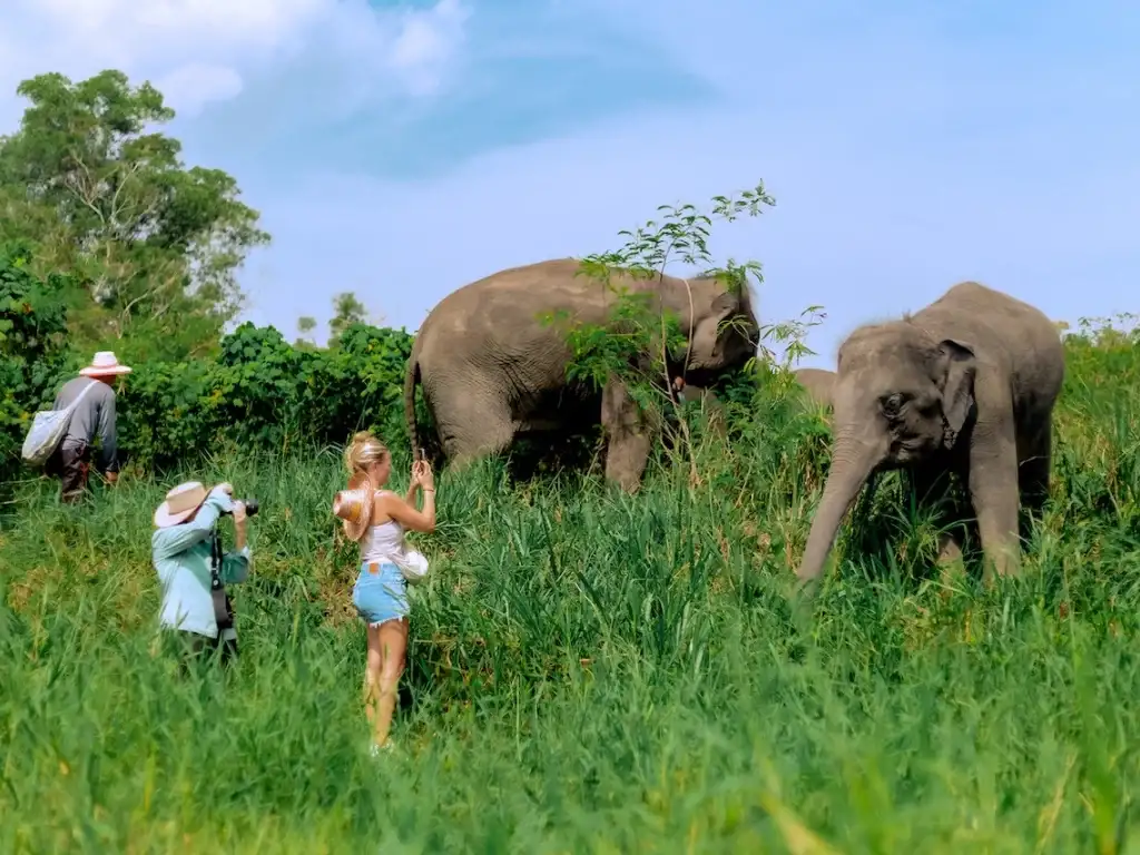 Ethical Elephant Sanctuary Chiang Mai
